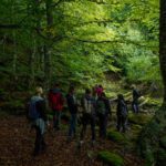 Buteo Iniciativas ambientales - Interior Bosque