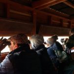 Buteo Iniciativas ambientales - Observando