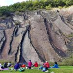 Baños de bosque - Shinrin yoku