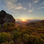 Baños de bosque - Shinrin yoku