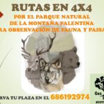 Gea Forestal Ecoturismo