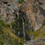 Rutas en 4x4 para observación de fauna