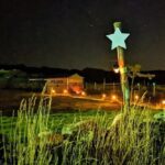 Polaris (7)