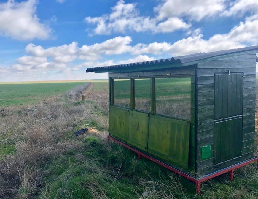 Fotografía la "rueda de las avutardas"