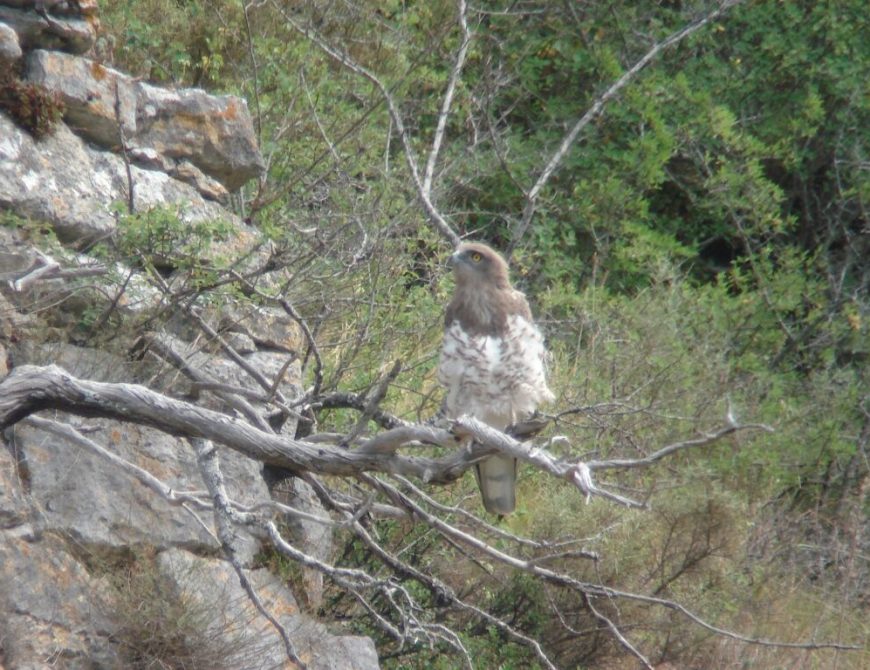 Descubriendo el norte de Burgos