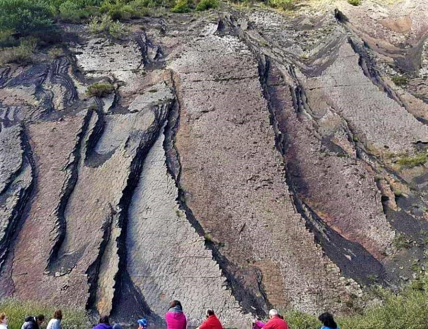 Baños de bosque - Shinrin yoku