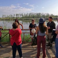 Buteo Iniciativas ambientales - Mirador Castronuño