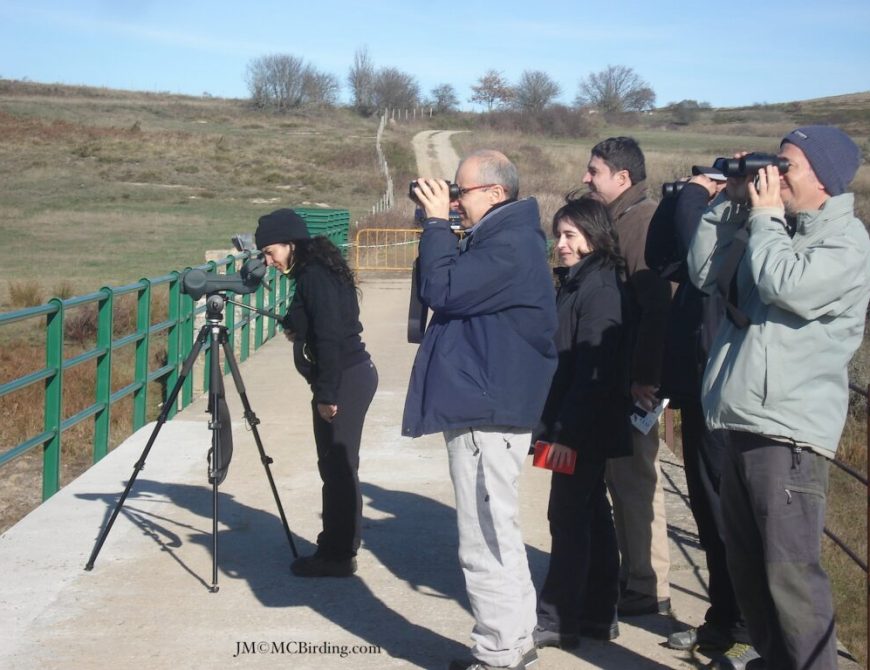 Senderismo y Observación de Aves