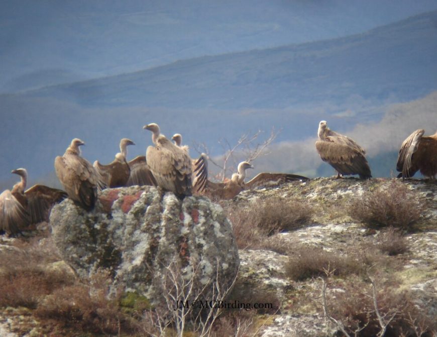 Senderismo y Observación de Aves