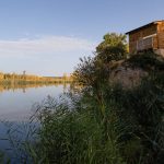 Reserva Natural Riberas de Castronuño – Vega del Duero (Valladolid)