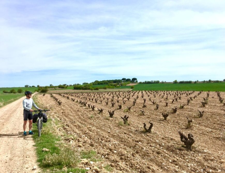 Cicloturismo en Palencia
