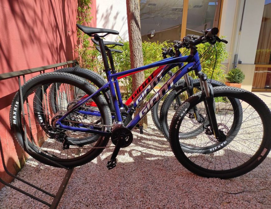 Cicloturismo en Palencia