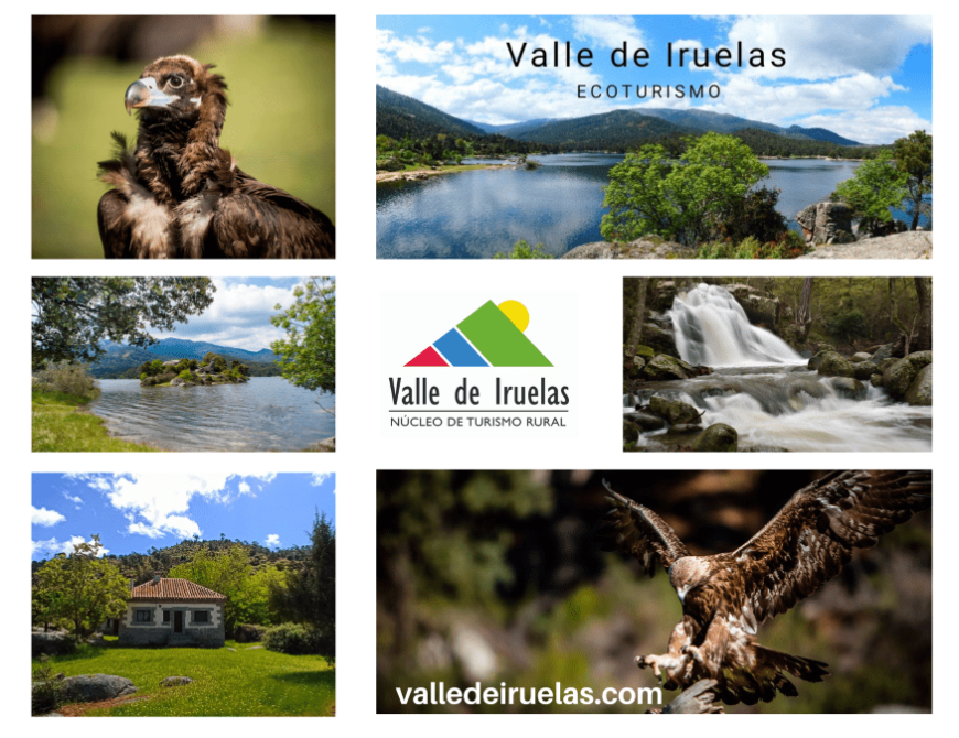 Collage-fotos-naturaleza-minimal-organic-blanco-azul-gris.-baja-1