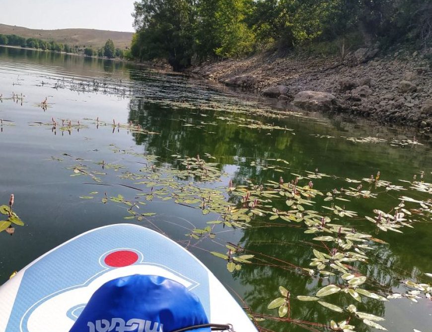 IMG_20220716_103153-01