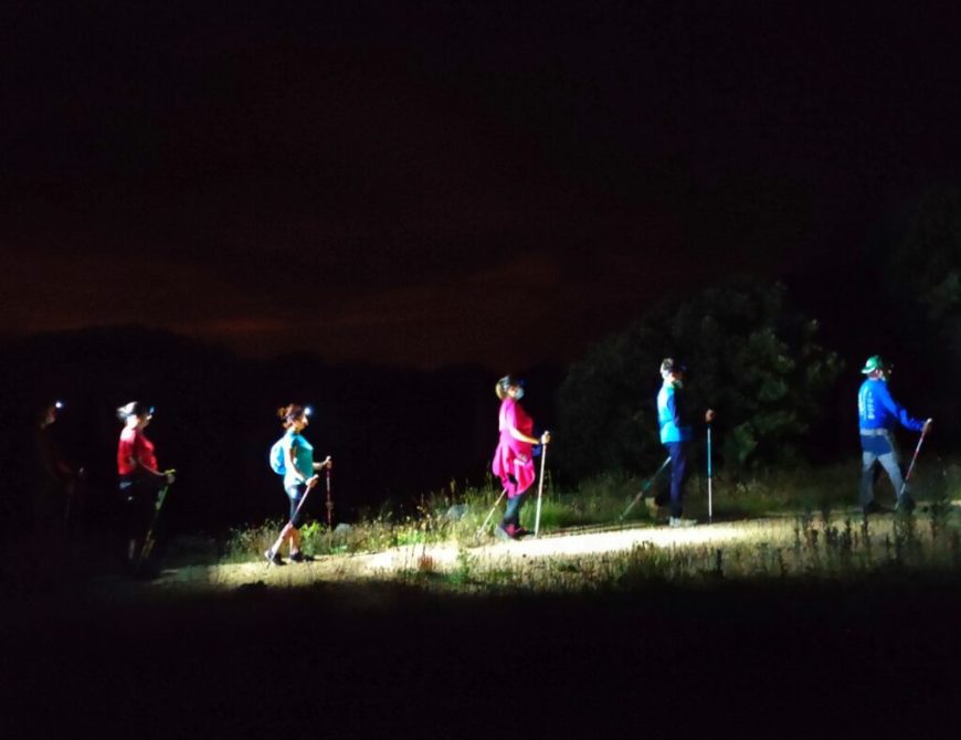 NOCTURNA-3