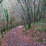 Monumento Natural Ojo Guareña (Burgos)