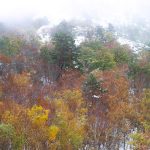 Parque Regional Picos de Europa (León)