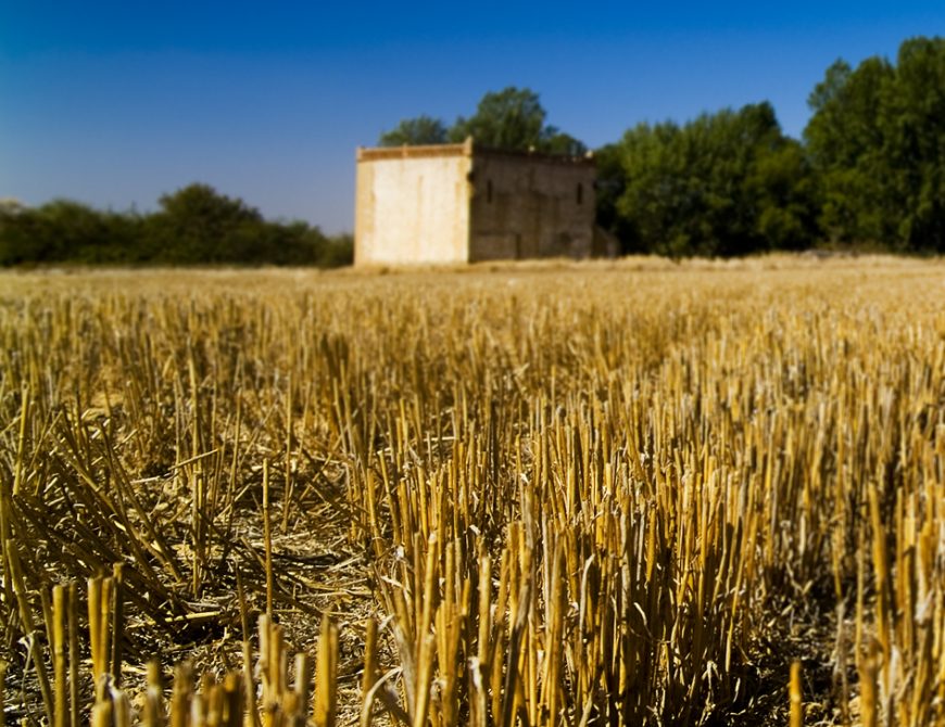 Palomares de Tierra de Campos en Palencia