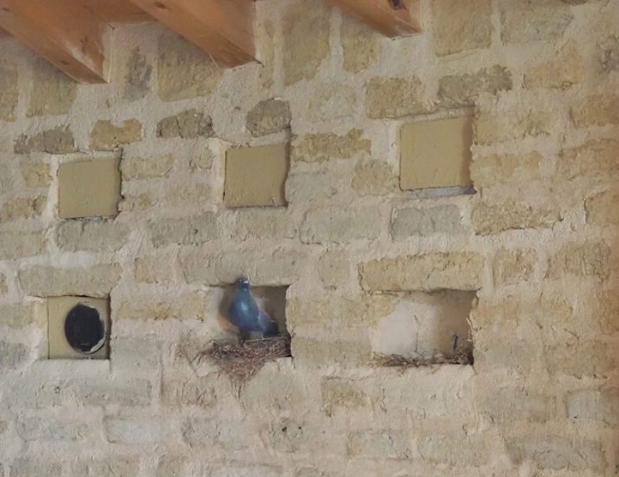 Palomares de Tierra de Campos en Palencia