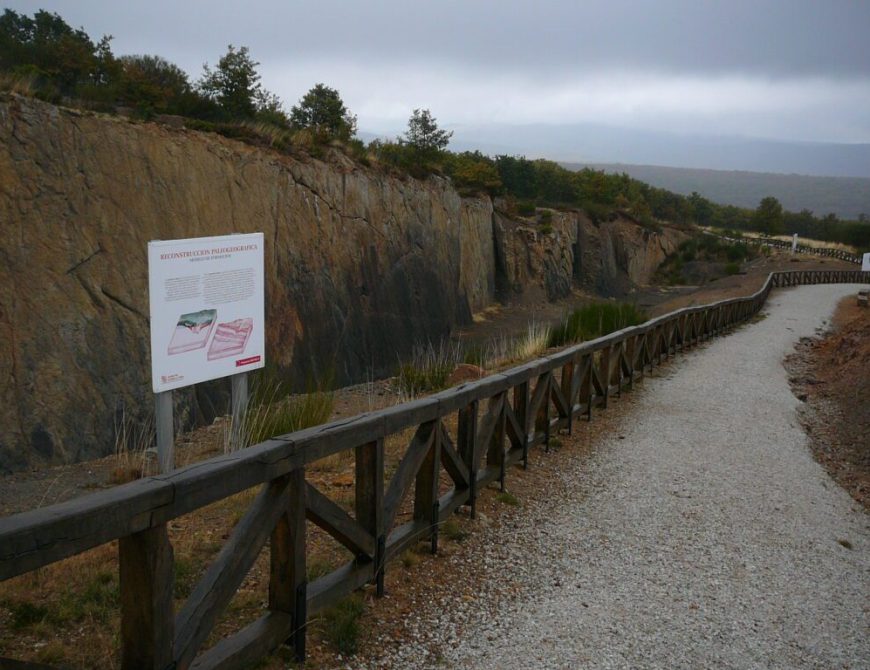 Rutas en 4x4 para observación de fauna