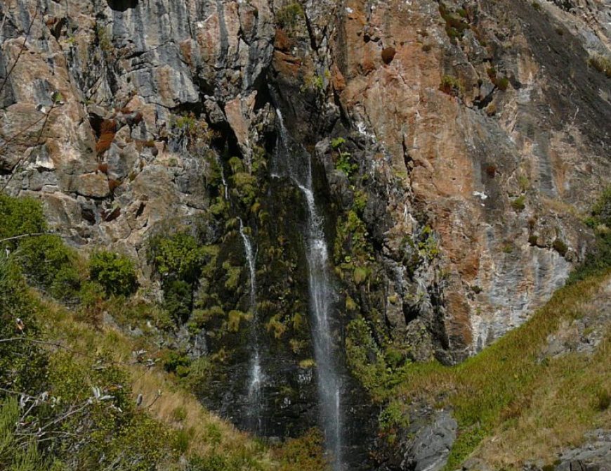 Rutas en 4x4 para observación de fauna