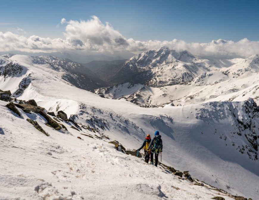 Rutas en 4x4 para observación de fauna