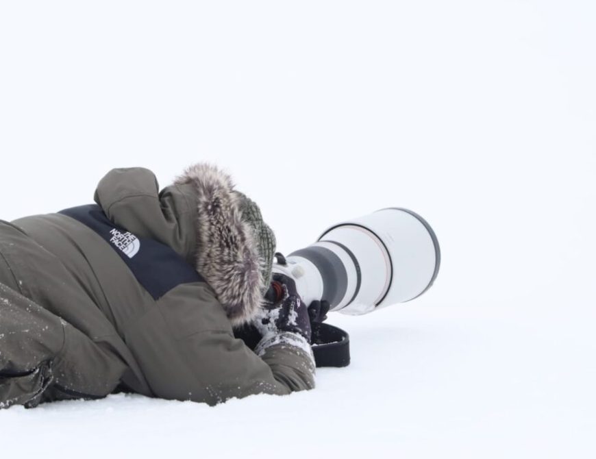 Safari fotográfico (A. Liébana)