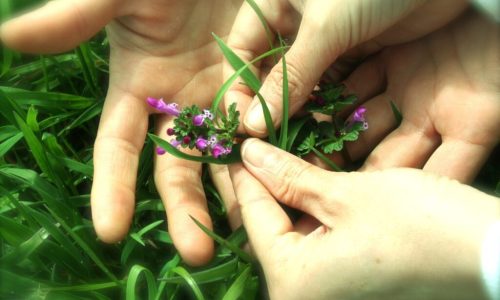 Taller de cosmética natural
