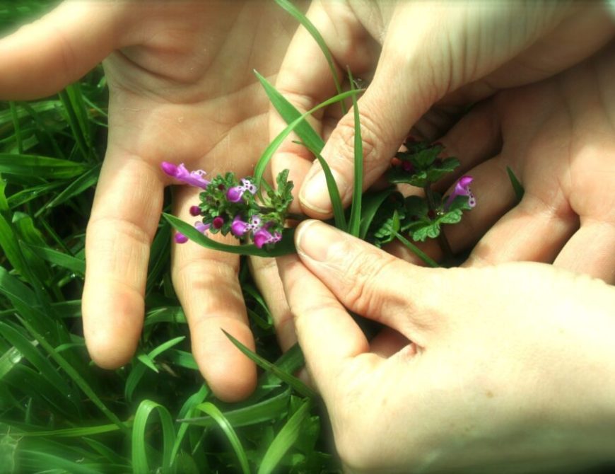 Taller de cosmética natural