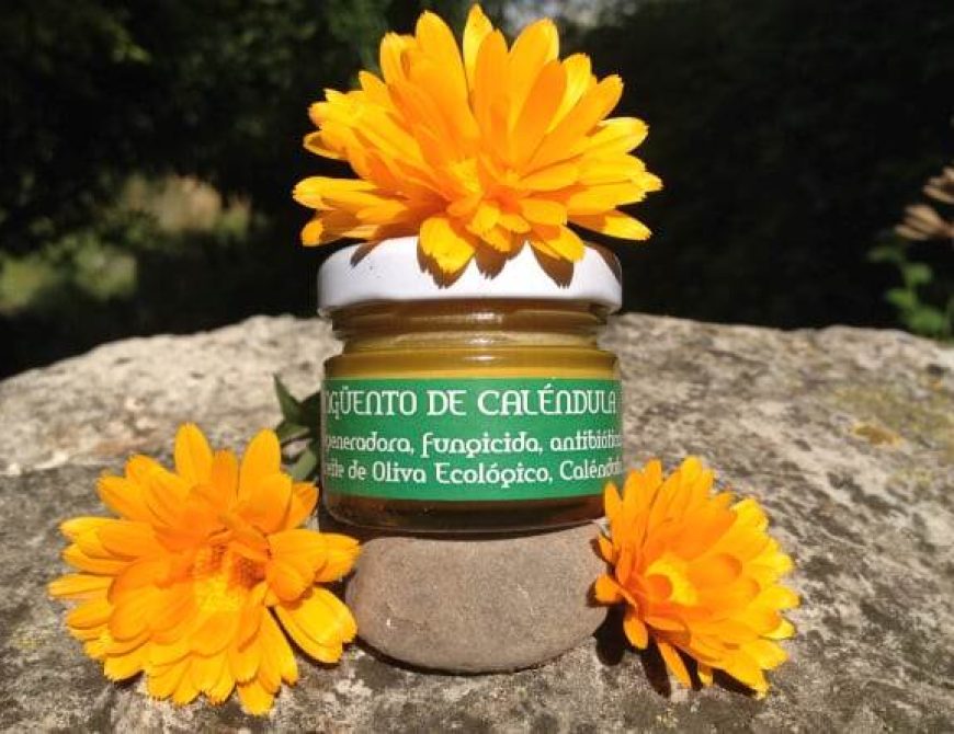 Taller de cosmética natural