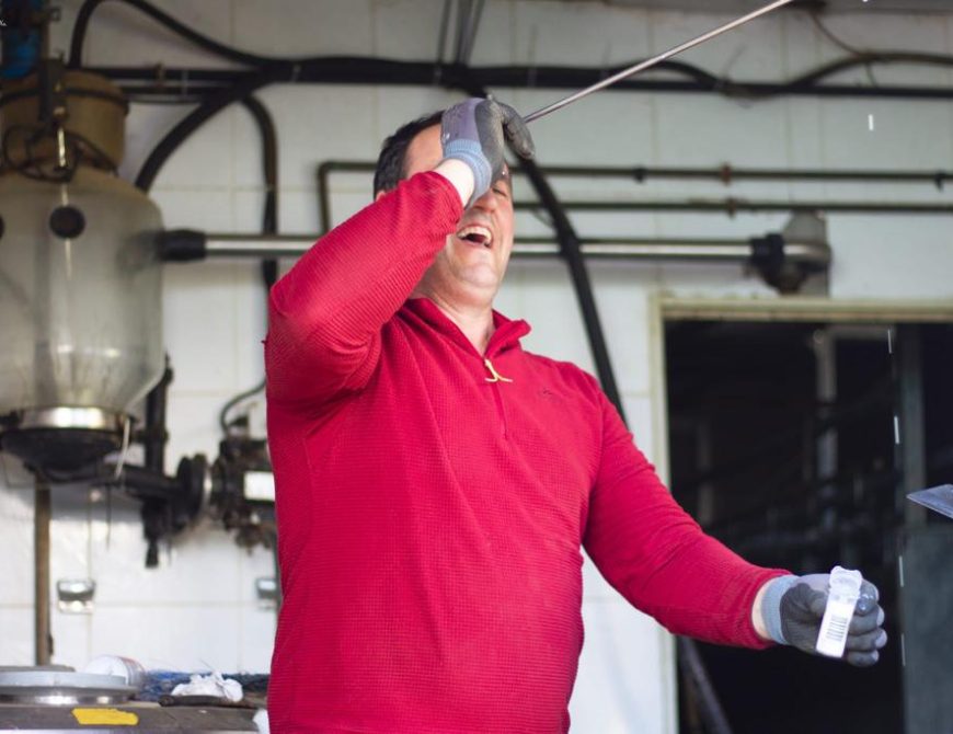 Visitar un rebaño de ovejas