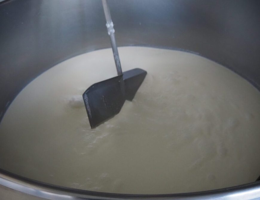 Visitar un rebaño de ovejas