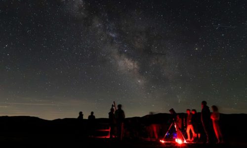 experiencia-starlight-by-lexus