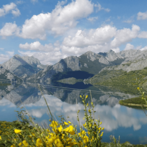 picos de europa foto
