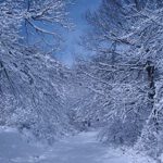 Presentacion-Reyes-2-023-bis