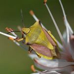 fotos-portada-2-oferta-naturaleza