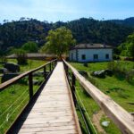 13ba09_2571bbf0bfde462c89a5384dde2ef362mv2