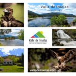 Collage-fotos-naturaleza-minimal-organic-blanco-azul-gris.-baja